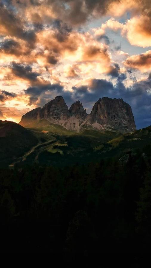 Cesa Prinoth Apartment Campitello di Fassa Exterior photo